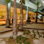 TAV AIRPORT HOTEL | Two Component Spray Polyurathane Water Insulation and Flooring Systems 